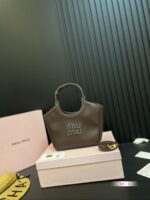 Miumiu Bag 2025