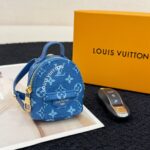 LV Mini Bag