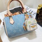 LV Mini Bag