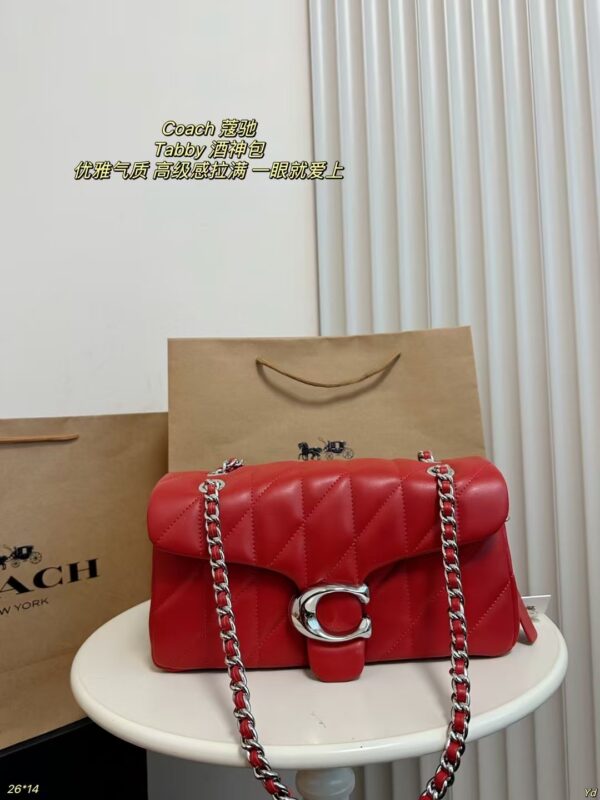 Coach Bag 2025