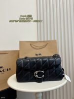 Coach Bag 2025