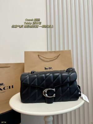 Coach Bag 2025