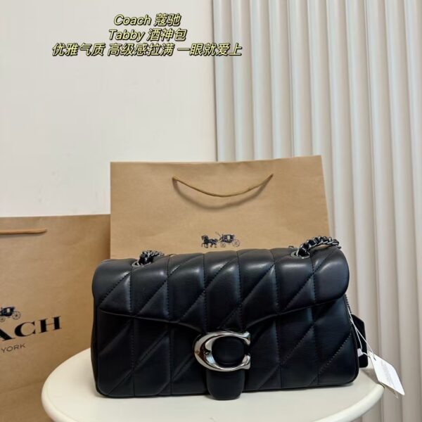 Coach Bag 2025