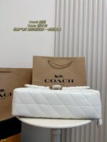 Coach Bag 2025