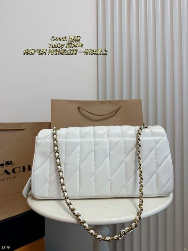 Coach Bag 2025