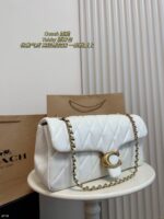 Coach Bag 2025