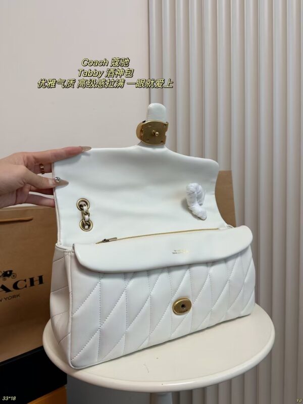 Coach Bag 2025