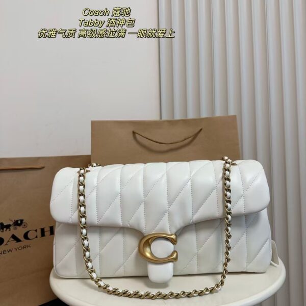 Coach Bag 2025