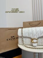 Coach Bag 2025