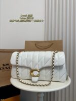 Coach Bag 2025