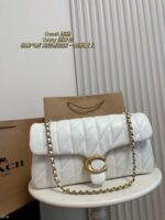 Coach Bag 2025