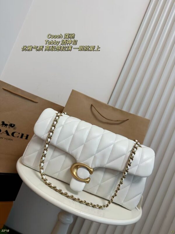 Coach Bag 2025