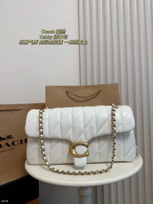Coach Bag 2025