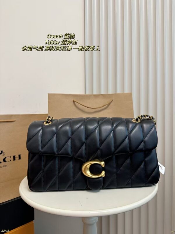 Coach Bag 2025