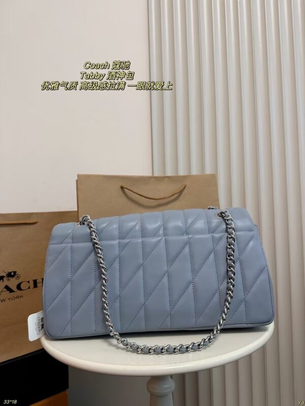Coach Bag 2025