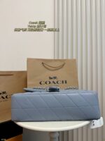 Coach Bag 2025