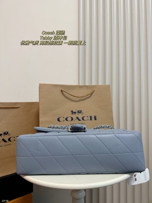 Coach Bag 2025