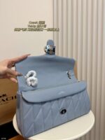 Coach Bag 2025