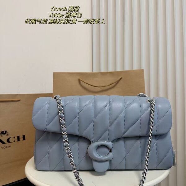 Coach Bag 2025