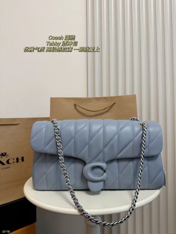 Coach Bag 2025