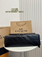 Coach Bag 2025
