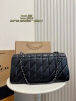 Coach Bag 2025