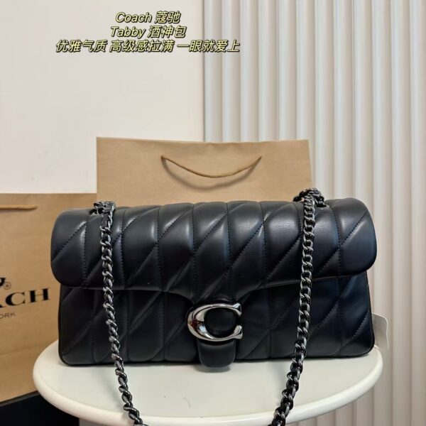 Coach Bag 2025