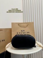 Coach Bag 2025
