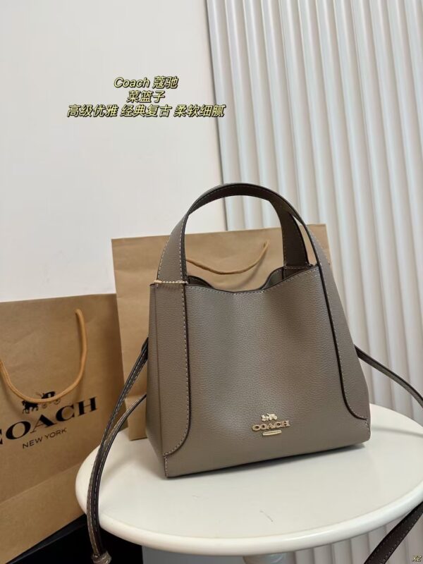 Coach Bag 2025