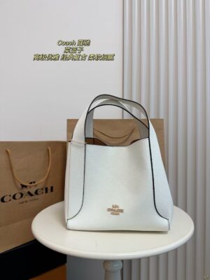 Coach Bag 2025