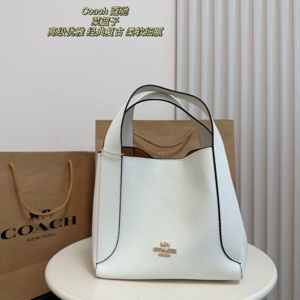 Coach Bag 2025