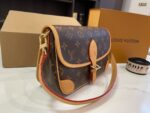 LV Bag 2025