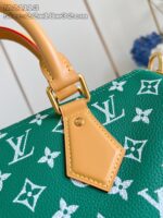 LV Master level Bag