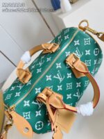 LV Master level Bag