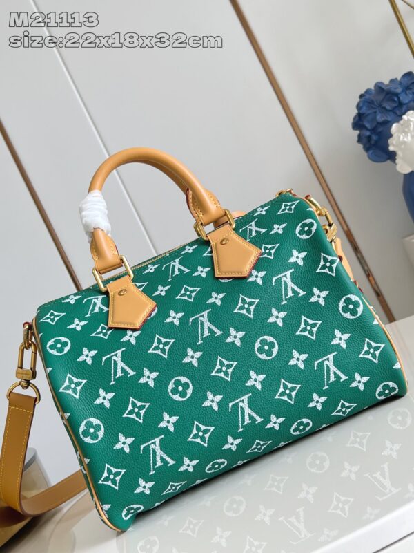 LV Master level Bag