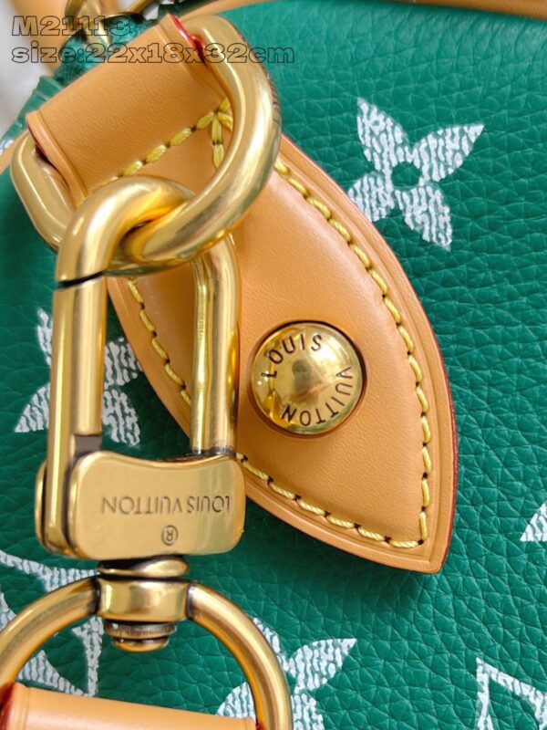 LV Master level Bag