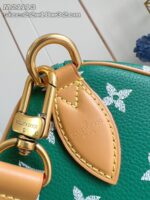 LV Master level Bag