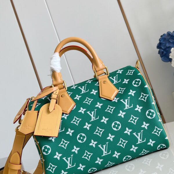 LV Master level Bag