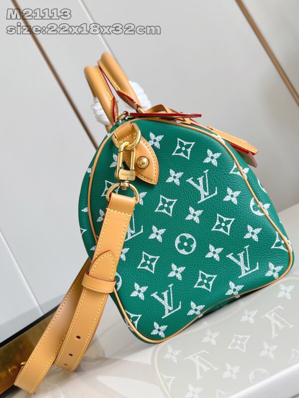 LV Master level Bag