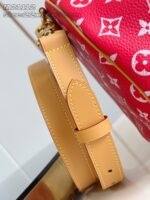 LV Master level Bag