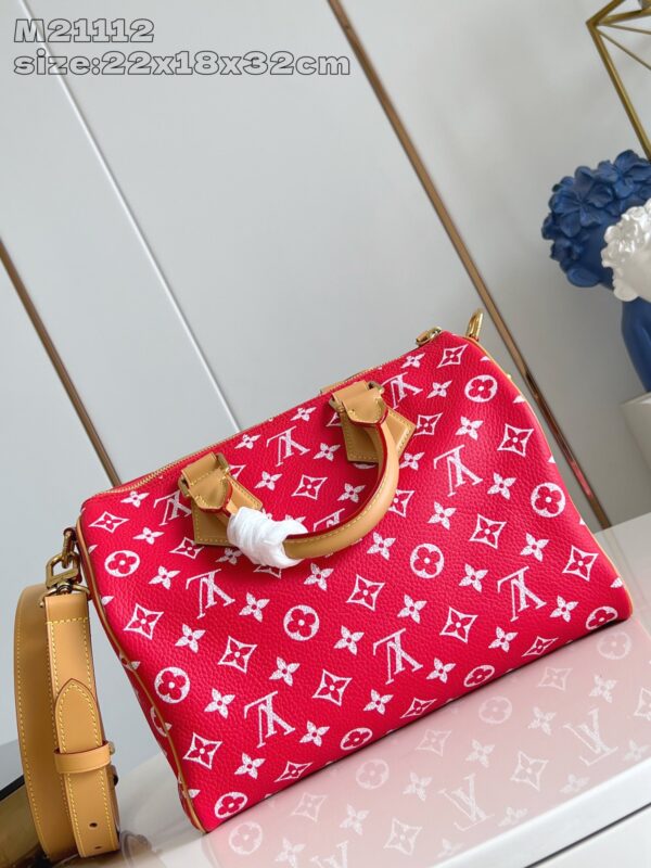 LV Master level Bag