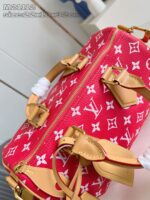 LV Master level Bag