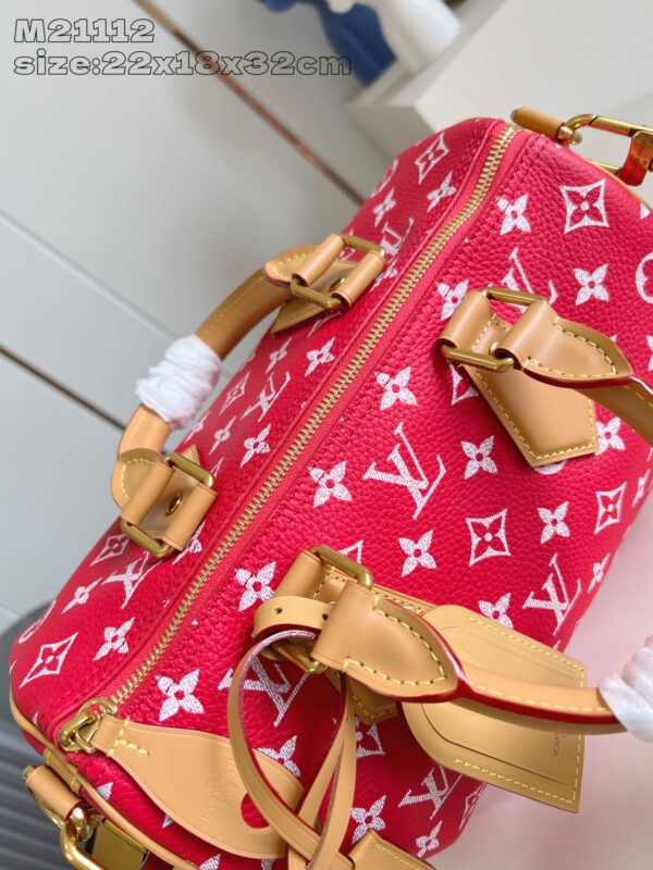 LV Master level Bag
