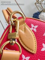 LV Master level Bag