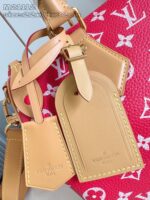 LV Master level Bag