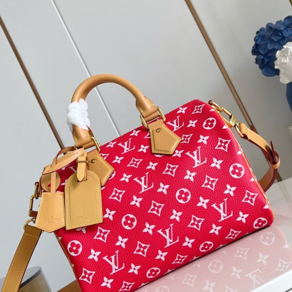 LV Master level Bag