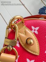 LV Master level Bag
