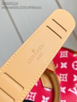 LV Master level Bag