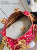 LV Master level Bag