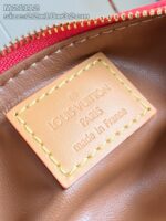 LV Master level Bag